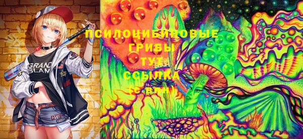 гидра Волоколамск