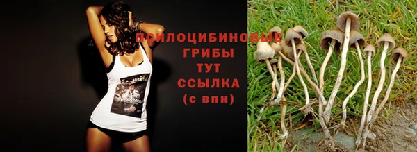 винт Верея