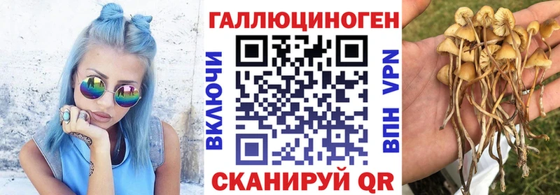 Галлюциногенные грибы прущие грибы  Отрадный 